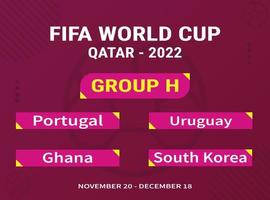 fifa qatar world cup 2022 grupo h paises participantes vector