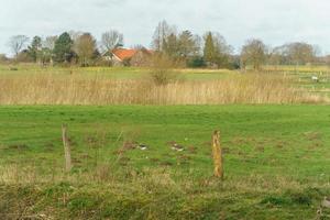 The river Aa near borken in germany photo