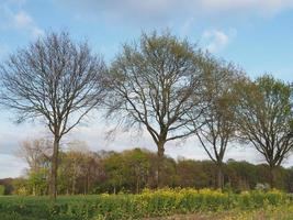 tiempo de primavera en weseke alemania foto