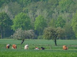 la ciudad de nottuln en germann baumberge foto