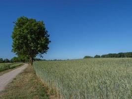 the aa river in westphalia photo