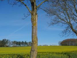 tiempo de primavera en el baumberge alemán foto