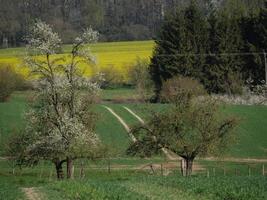 tiempo de primavera en el baumberge alemán foto