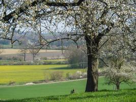 tiempo de primavera en el baumberge alemán foto