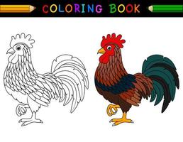 libro para colorear de gallo de dibujos animados vector