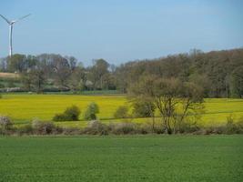 spring time in the german baumberge photo