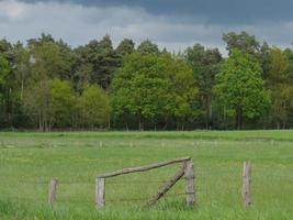 senderismo en un bosque cerca de ahaus alemania foto