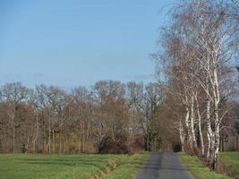 the german muensterland photo