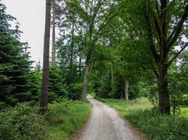 senderismo cerca de reken en el muensterland alemán foto