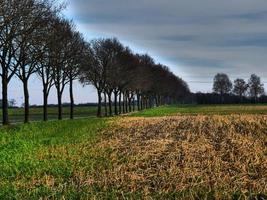 en el muensterland alemán foto