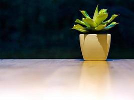 hermoso cactus verde fresco en una maceta blanca sobre una mesa de madera, un ambiente romántico de fondo foto