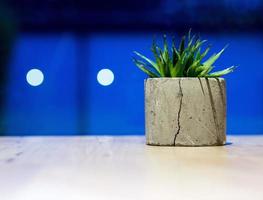 Beautiful Fresh Green cactus in An old concrete Plant pot on a wooden table, A romantic atmosphere background photo