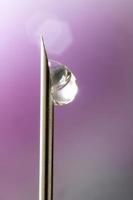 foto macro de una aguja médica para inyección con una gota de líquido.