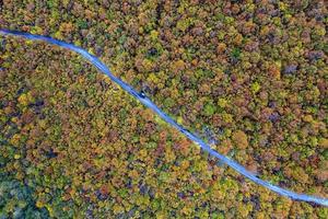 Autumn colorful forest. Aerial view from a drone over road between autumn trees in the forest. photo