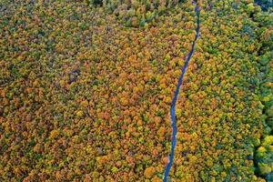 Autumn colorful forest. Aerial view from a drone over road between autumn trees in the forest. photo