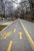 carril bici de dos sentidos en la ciudad. señal de tráfico. símbolo de bicicleta en un carril bici de asfalto foto