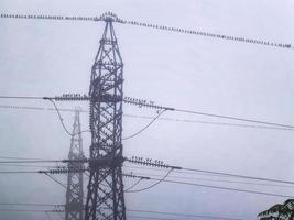 Many birds are sitting on the power line at mist.  horizontal view photo