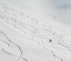 vista de retrato de esquiador foto