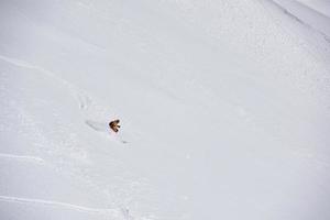 freeride skier skiing in deep powder snow photo