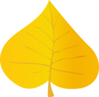 Yellow Leaf in realistic style. Autumn leaf. Colorful PNG illustration isolated on transparent background.