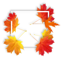 White Frame with Falling Leaves png