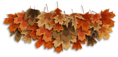 feuilles sèches d'automne png