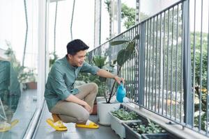 man watering green plants on the balcony, small cozy garden in apartment photo