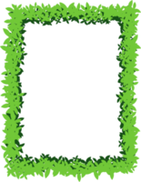 cadre fleuri. bordure de feuilles png