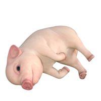 cute pig 3d rendering png