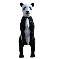Panda Bear 3d render png