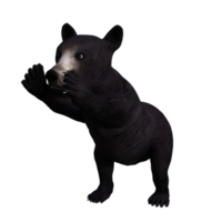 renderização 3d do urso panda png