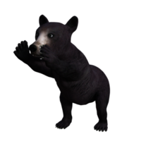 panda rendu 3d png