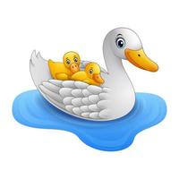 Cartoon mother duck with baby duck floats on water vector