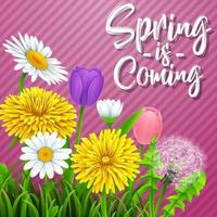 Spring background with several flower wreath. vector illustration