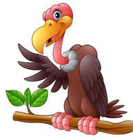 Vector illustration of Cartoon Vulture on a tree branch