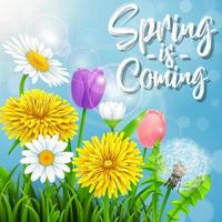 Spring background with several flower wreath. vector illustration