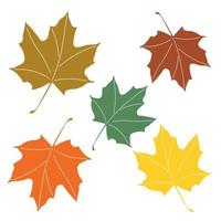 Set of autumn maple colorful leaves, flat vector, isolated on white vector