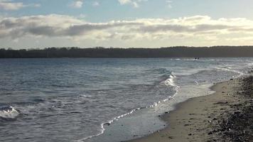 Silhouettes of walking people on sandy beaches at the baltic sea on a sunny day. video