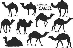 colección de siluetas de camellos vector