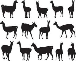 Lama silhouettes collection vector