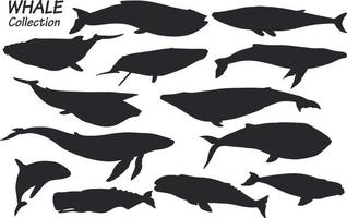 whale silhouettes set vector