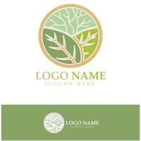 logotipo de árbol abstracto para bosque y naturaleza de parque. con una combinación de elementos de línea .vector para diseños de negocios, agricultura, conceptos ecológicos, vegetación y belleza natural. vector