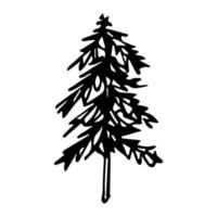 Christmas tree hand drawn illustration isolated on white background. Fir doodle clipart vector