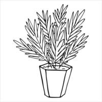 Cute hand drawn houseplant in a pot clipart. Plant illustration. Cozy home doodle vector