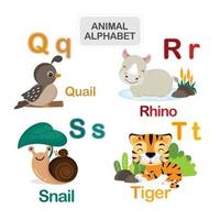 Cute animal alphabet from Letter Q to T vector