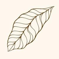 Leaf Ornament Vector Art. Hand drawn leave. leaf line. Leaf outline ornament vector. Vector hand drawn black line design elements.