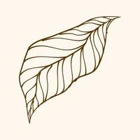 Leaf Ornament Vector Art. Hand drawn leave. leaf line. Leaf outline ornament vector. Vector hand drawn black line design elements.