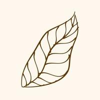 Leaf Ornament Vector Art. Hand drawn leave. leaf line. Leaf outline ornament vector. Vector hand drawn black line design elements.