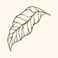 Leaf Ornament Vector Art. Hand drawn leave. leaf line. Leaf outline ornament vector. Vector hand drawn black line design elements.