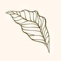 Leaf Ornament Vector Art. Hand drawn leave. leaf line. Leaf outline ornament vector. Vector hand drawn black line design elements.